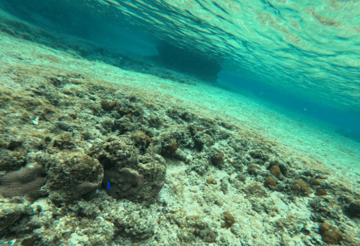 HOW TO USE ご利用方法