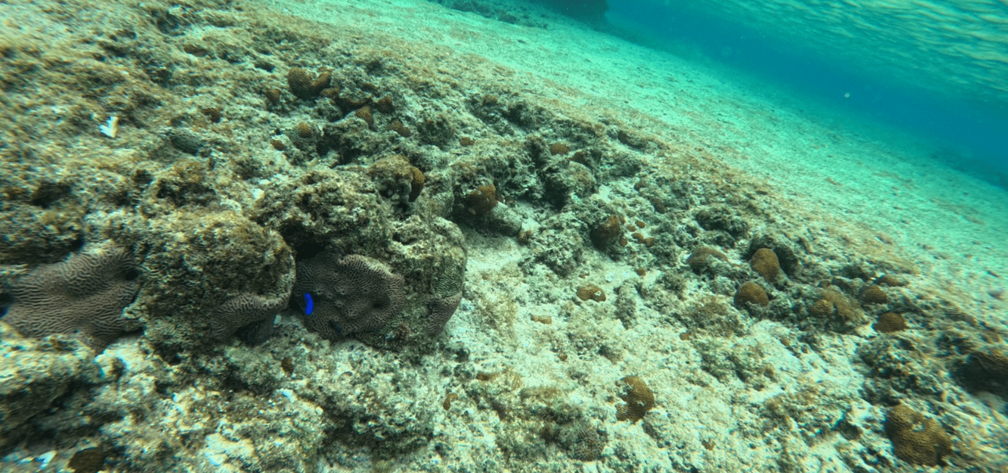 アロハレンタカー那覇空港店 Aloha Rentacar OKINAWA